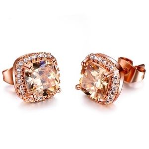 𝑃𝑟𝑖𝑛𝑐𝑒𝑠𝑠 𝐶𝑢𝑡 𝑆𝑡𝑢𝑑 𝐸𝑎𝑟𝑟𝑖𝑛𝑔𝑠